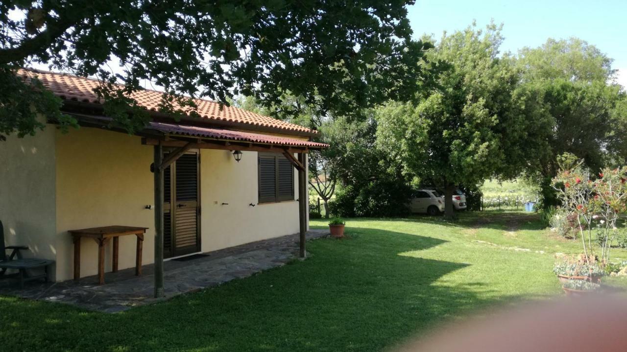 Agriturismo Cavallin Del Papa Capalbio Exterior photo