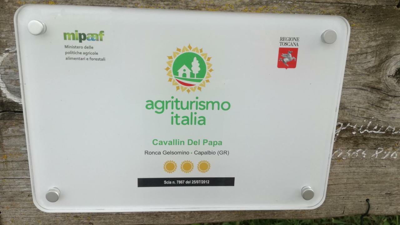 Agriturismo Cavallin Del Papa Capalbio Exterior photo