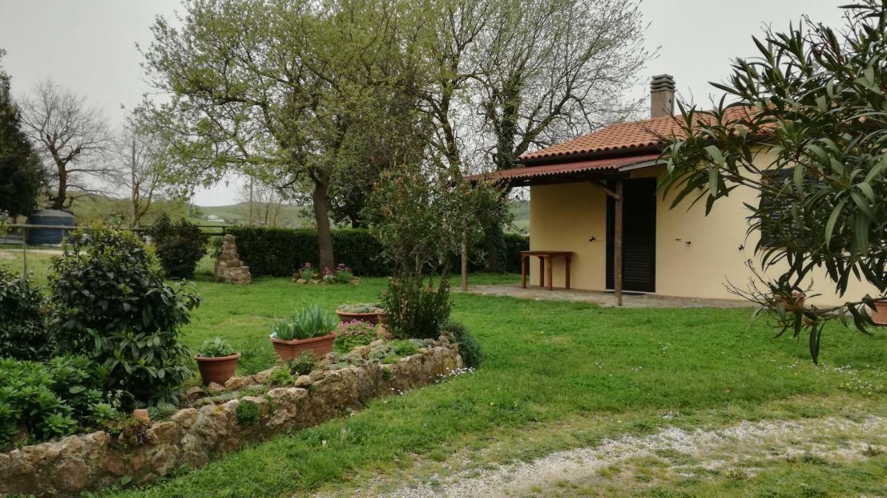 Agriturismo Cavallin Del Papa Capalbio Exterior photo