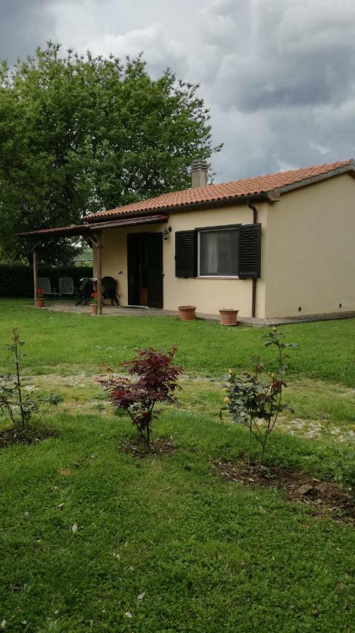 Agriturismo Cavallin Del Papa Capalbio Exterior photo