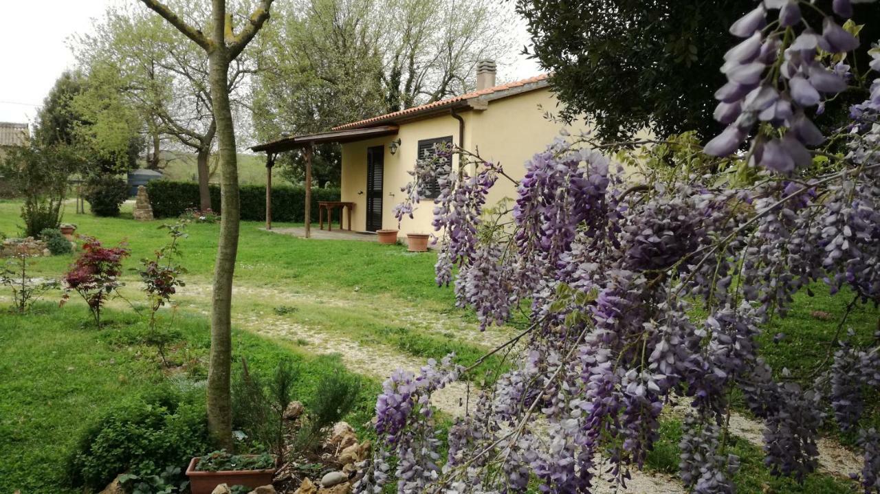Agriturismo Cavallin Del Papa Capalbio Exterior photo